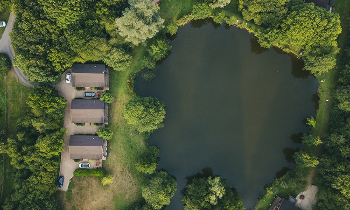 Essential Guide to Pond Maintenance